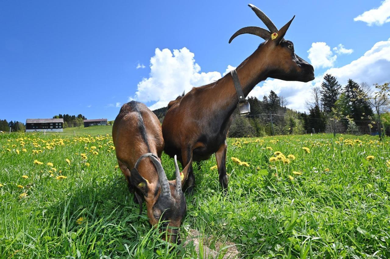 Bauernhof Bilgeri Villa Hittisau Luaran gambar
