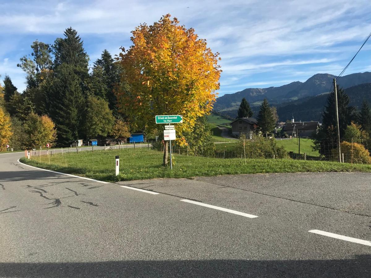 Bauernhof Bilgeri Villa Hittisau Luaran gambar