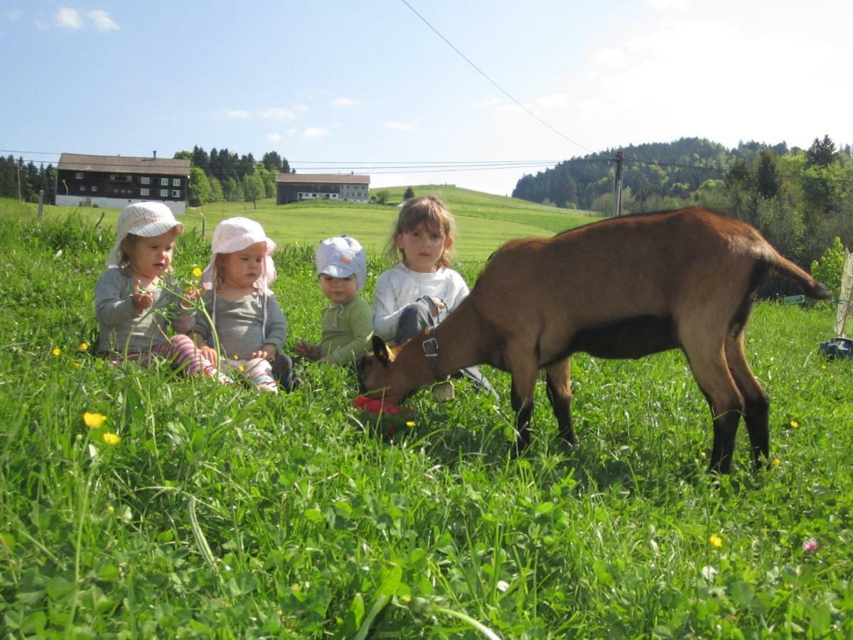 Bauernhof Bilgeri Villa Hittisau Luaran gambar